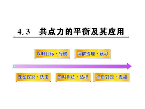 沪科版高中物理必修一4.3共点力的平衡及其应用