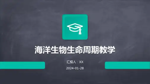 海洋生物生命周期教学