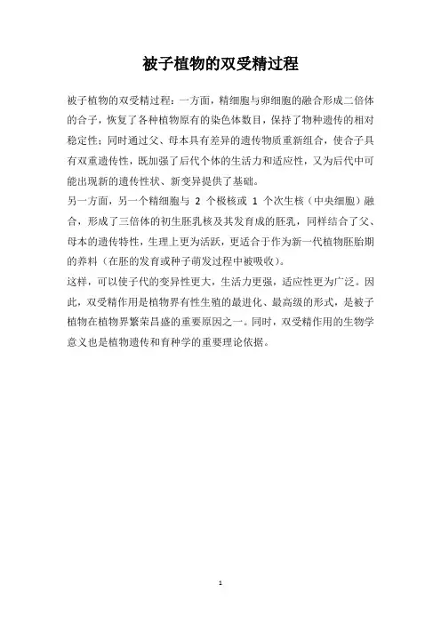 被子植物的双受精过程