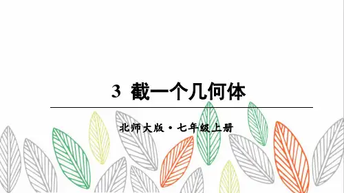 《截一个几何体》PPT课件 北师大版