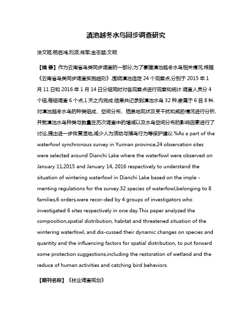 滇池越冬水鸟同步调查研究