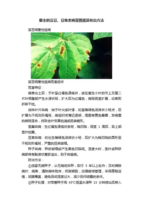 最全的芸豆、豆角类病害图谱及防治方法