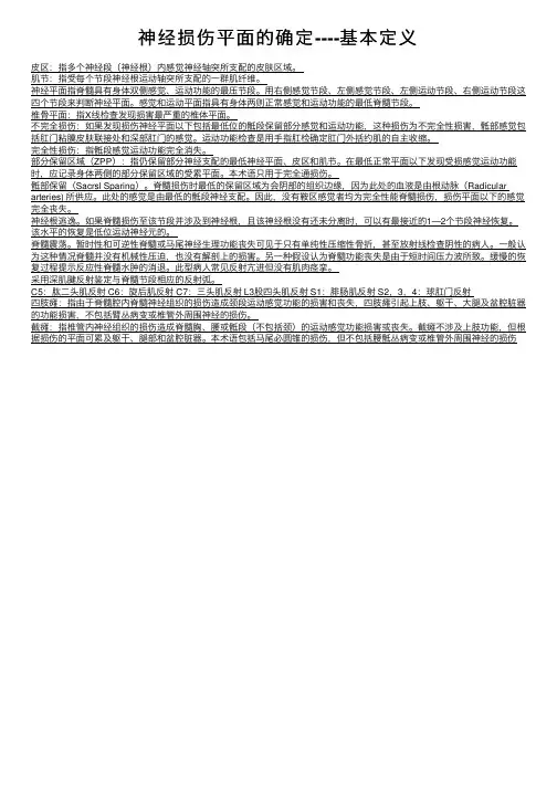 神经损伤平面的确定----基本定义