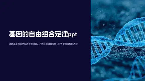 基因的自由组合定律ppt