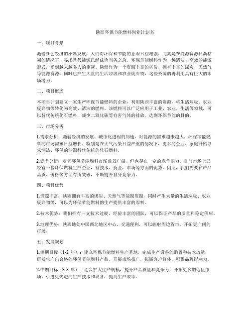 陕西环保节能燃料创业计划书