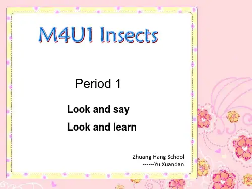 上海牛津版小学英语三年级上册Insects教学ppt课件