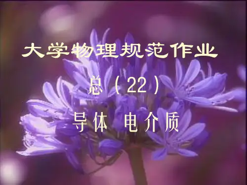大学物理规范作业(本一)22解答