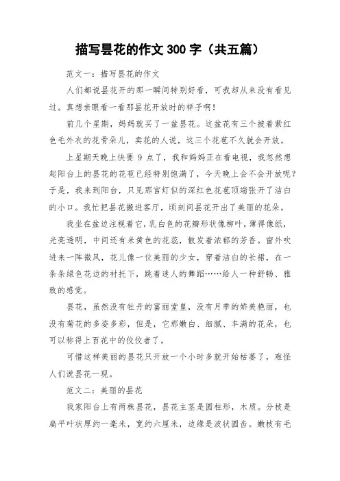 描写昙花的作文300字(共五篇)_作文