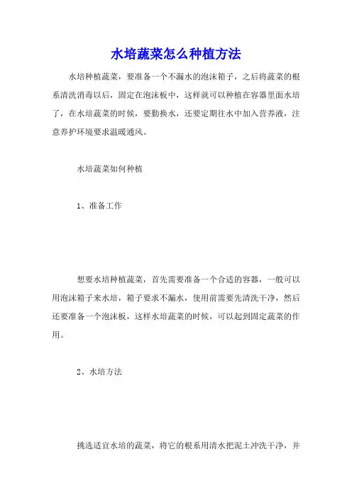 水培蔬菜怎么种植方法