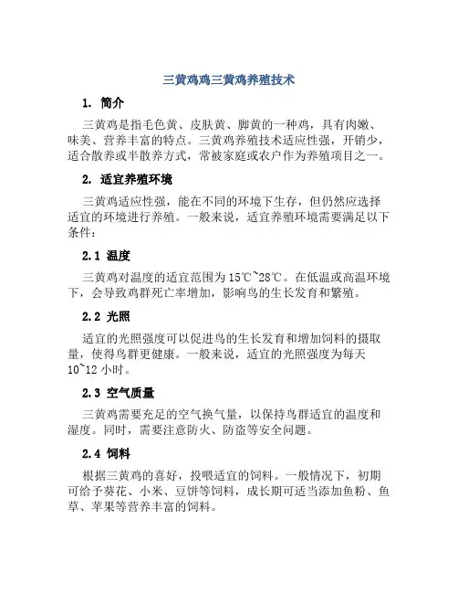 三黄鸡鸡三黄鸡养殖技术