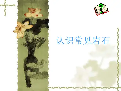 认识几种常见的岩石和矿物PPT课件(49页)