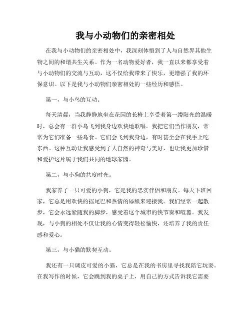 我与小动物们的亲密相处