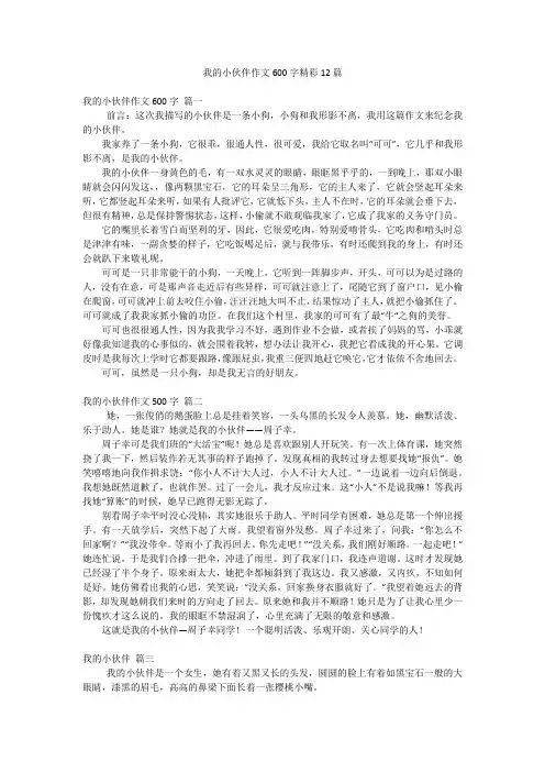 我的小伙伴作文600字精彩12篇