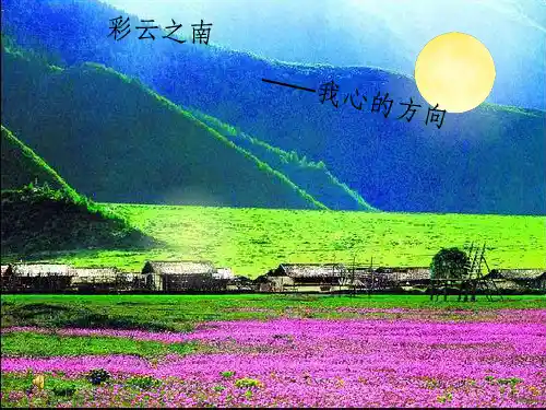大美云南(美景、美食、旅游)ppt课件