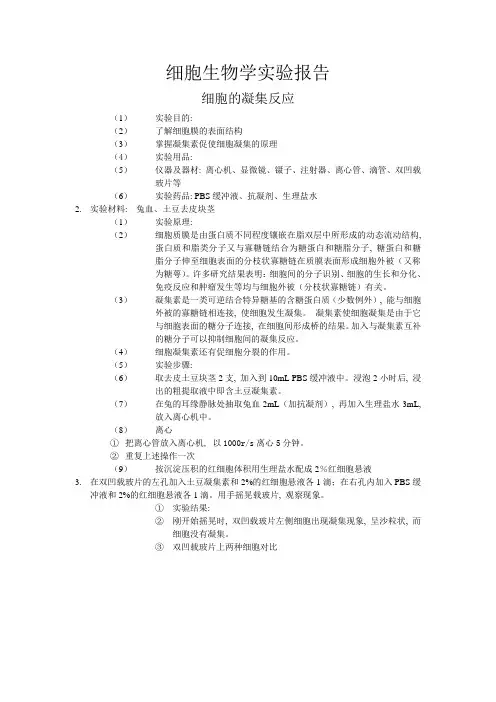细胞的凝集反应 实验报告