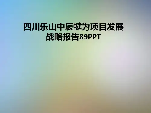 四川乐山中辰犍为项目发展战略报告89PPT