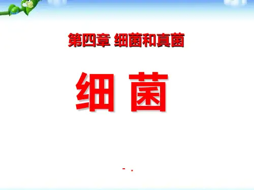 《细菌》细菌和真菌PPT课件5