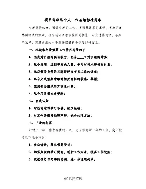 项目部年终个人工作总结标准范本（3篇）