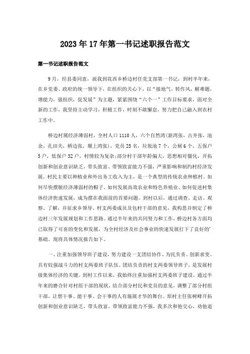 2023年17年第一书记述职报告范文