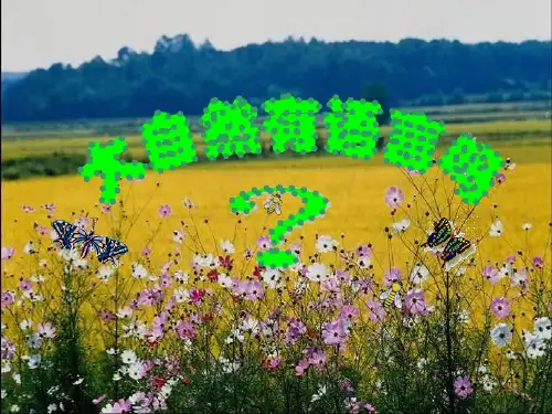 大自然的语言优秀ppt课件