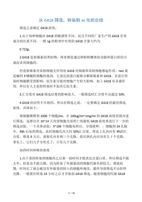 G418筛选