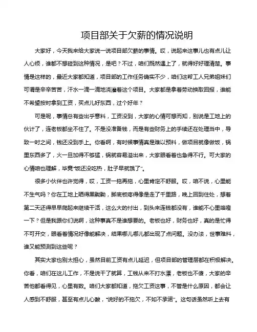 项目部关于欠薪的情况说明