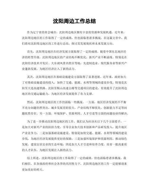 沈阳周边工作总结