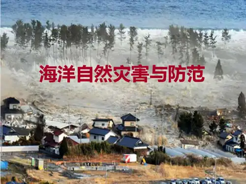 人教版高二地理选修海洋自然灾害与防范PPT完美版