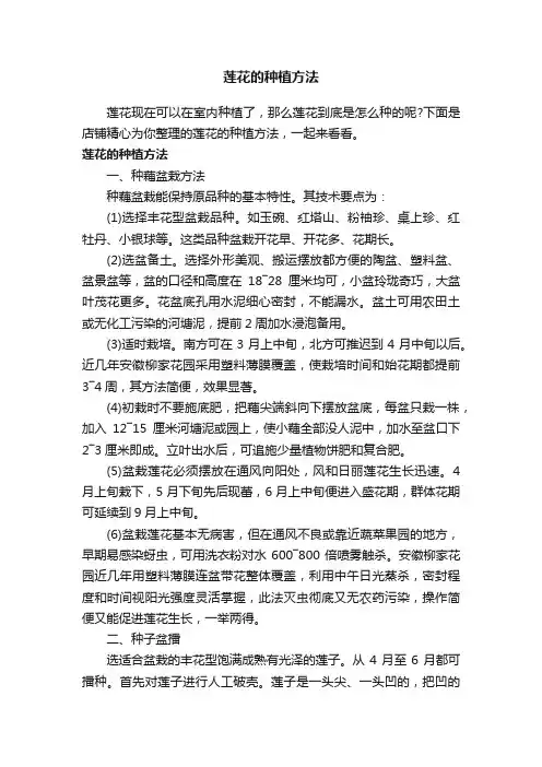 莲花的种植方法