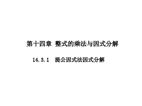 人教版_《因式分解》一等奖公开课PPT1