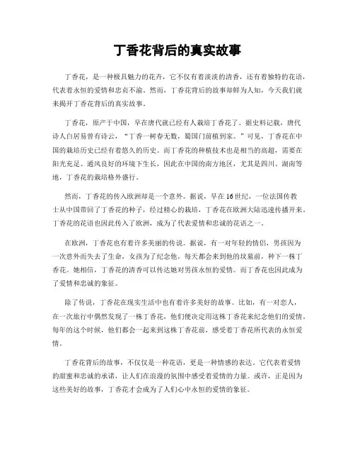 丁香花背后的真实故事