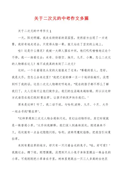 关于二次元的中考作文多篇