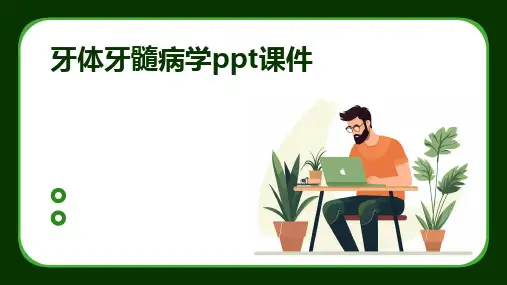 牙体牙髓病学ppt课件