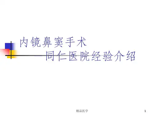 《内镜鼻窦手术》PPT课件