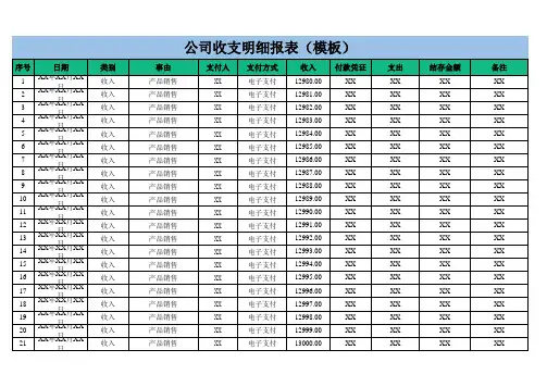 公司收支明细报表(模板)