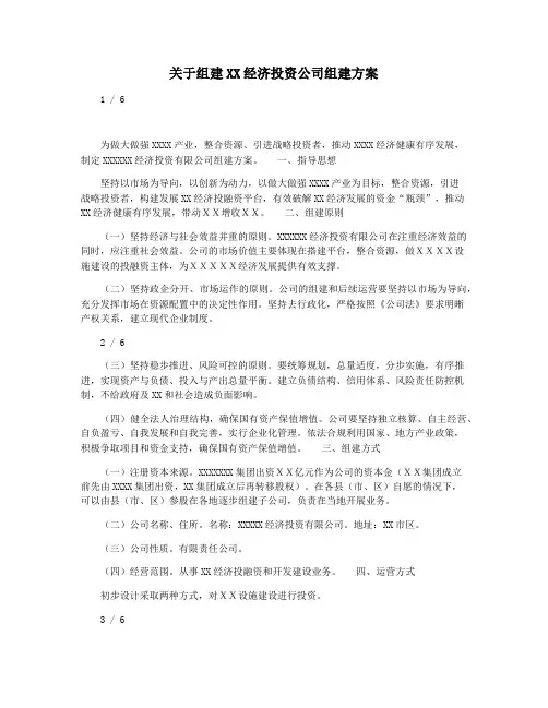 关于组建XX经济投资公司组建方案