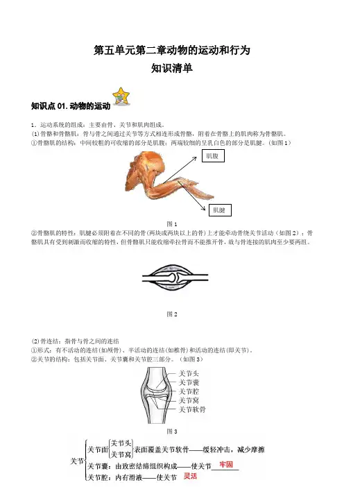 第二章 动物的运动和行为(单元知识清单)- 八年级生物上册