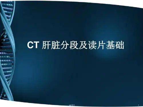 CT肝脏分段及读片  ppt课件