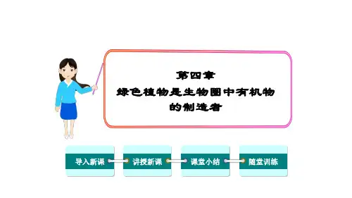 最新人教版七年级生物上册 第三单元 第四章  绿色植物是生物圈中有机物的制造者 课件