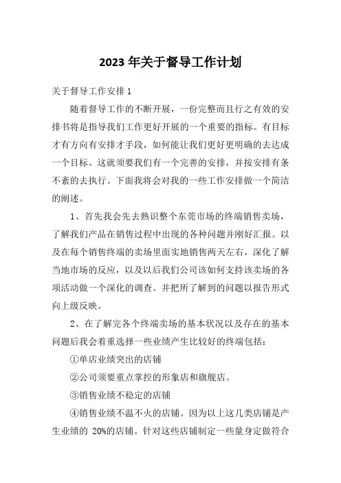 2023年关于督导工作计划