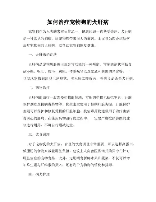 如何治疗宠物狗的犬肝病
