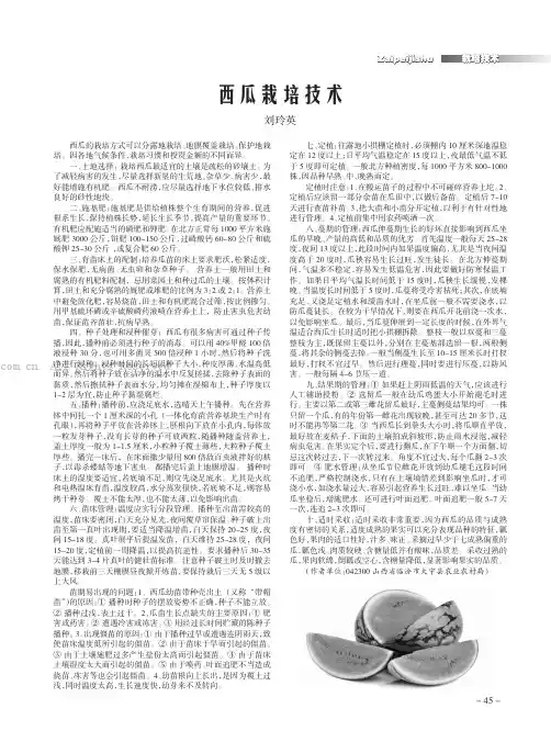 西瓜栽培技术