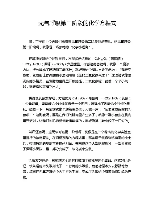 无氧呼吸第二阶段的化学方程式