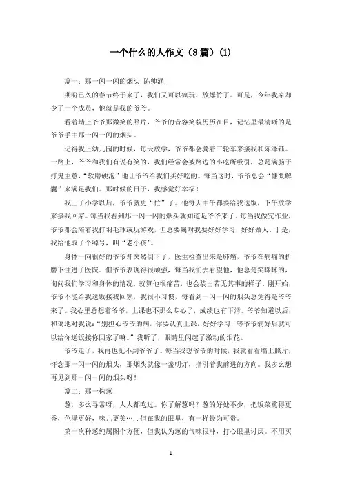 一个什么的人作文(8篇)(1)