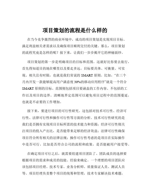项目策划的流程是什么样的