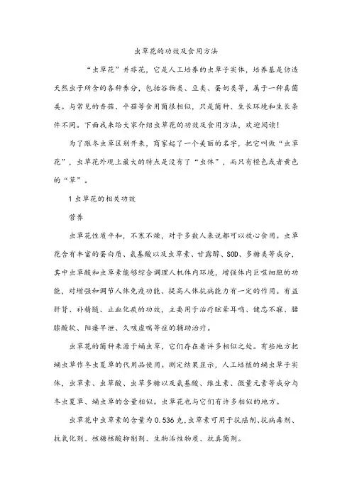 虫草花的功效及食用方法