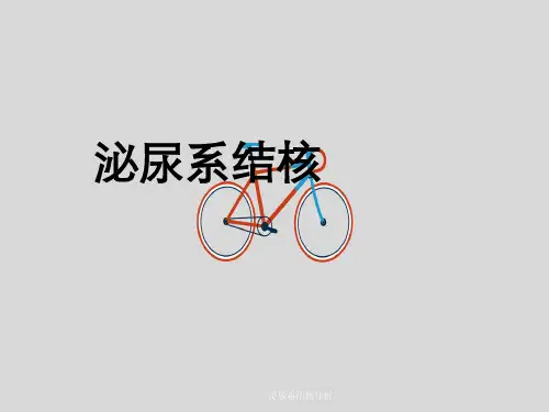 泌尿系结核分析