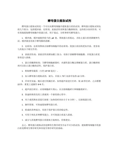 酵母蛋白提取试剂