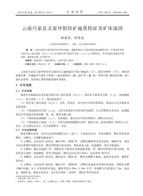 云南巧家县文家坪铅锌矿地质特征及矿床成因