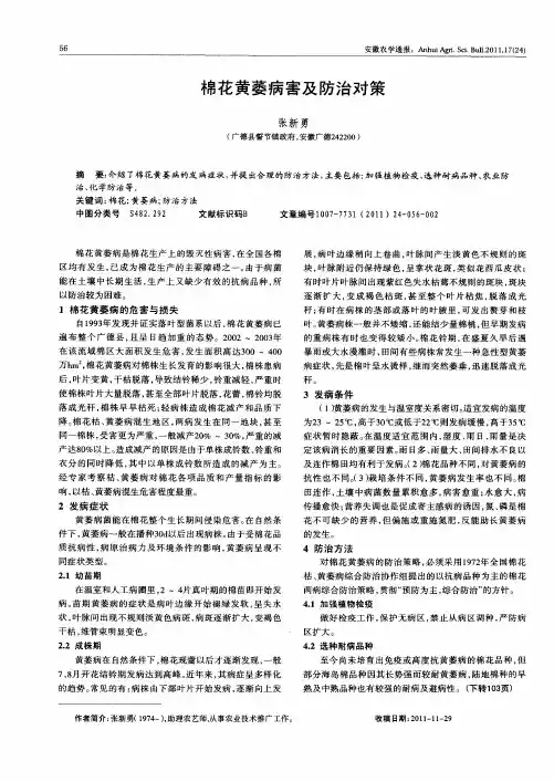 棉花黄萎病害及防治对策